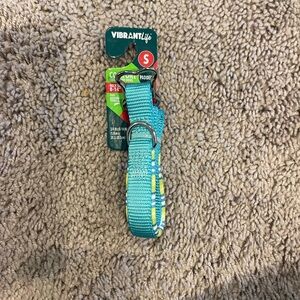 Vibrant Sporty Blue Dog Collar